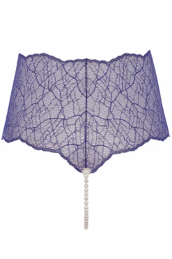 Sydney Daisy Pearl Panty In Blue 13 Sydney Daisy Pearl Panty In Blue -Fashion Lingerie Store Bracli Sydney Pearl Panty Blue daisy
