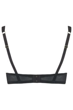 Dahlia Plunge Bra (Available In B-G Cup Sizes) 12 Dahlia Plunge Bra (Available In B-G Cup Sizes) -Fashion Lingerie Store Dahlia Hi Apex Bra 2