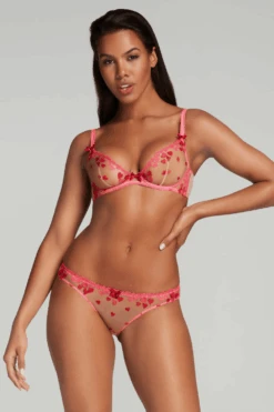 AGENT PROVOCATEUR Cupid Brief 12 AGENT PROVOCATEUR Cupid Brief -Fashion Lingerie Store agent provocateur cupid brief pink red 3