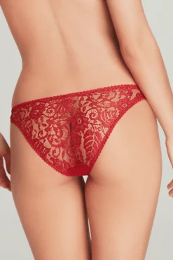 AGENT PROVOCATEUR Kateryna Brief -Fashion Lingerie Store agent provocateur kateryna brief red 2