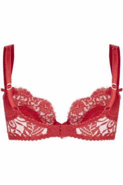 AGENT PROVOCATEUR Kateryna Plunge Underwired Bra 11 AGENT PROVOCATEUR Kateryna Plunge Underwired Bra -Fashion Lingerie Store agent provocateur kateryna plunge underwired bra red ghost back