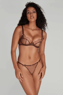 AGENT PROVOCATEUR Lorna Thong In Chestnut 12 AGENT PROVOCATEUR Lorna Thong In Chestnut -Fashion Lingerie Store agent provocateur lorna thong 107261 2023 3