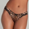 AGENT PROVOCATEUR Molly Leopard Brief 1 AGENT PROVOCATEUR Molly Leopard Brief -Fashion Lingerie Store agent provocateur molly brief 110430 2023 1
