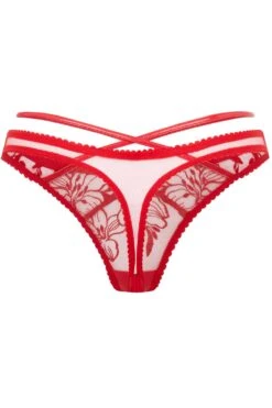 AGENT PROVOCATEUR Ozella Thong, Size 4 (UK 12) 11 AGENT PROVOCATEUR Ozella Thong, Size 4 (UK 12) -Fashion Lingerie Store agent provocateur ozella thong red ghost back