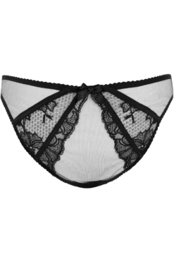 AGENT PROVOCATEUR Rozlyn Brief 13 AGENT PROVOCATEUR Rozlyn Brief -Fashion Lingerie Store agent provocateur rozlyn brief 109244 ghost back