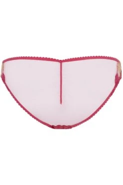 AGENT PROVOCATEUR Zuri Brief, Size 5 (UK 14) -Fashion Lingerie Store agent provocateur zuri brief fuchsia red gold ghost back