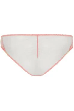 AGENT PROVOCATEUR Zuri Brief 13 AGENT PROVOCATEUR Zuri Brief -Fashion Lingerie Store agent provocateur zuri brief multi sand 2