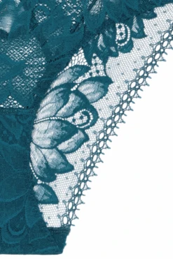 Aubade Flawless Love Lace Italian Brief 12 Aubade Flawless Love Lace Italian Brief -Fashion Lingerie Store aubade flawless love italian brief dragonfly zoom