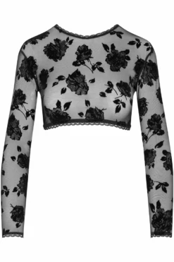 Flocked Mesh Long Sleeve Crop Top