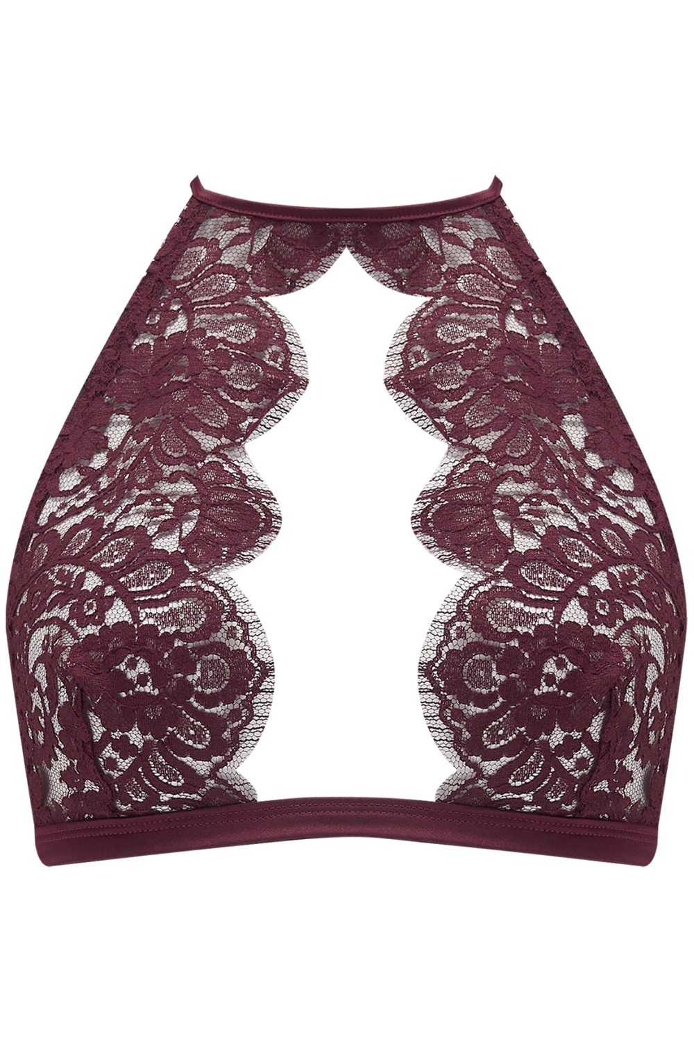 Camellia Soft Cup Bra 4 Camellia Soft Cup Bra - Image 2