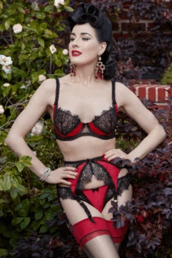 Glamcatcher Open Back Brief 9 Glamcatcher Open Back Brief -Fashion Lingerie Store dita von teese glamcatcher open back brief black runway red 4