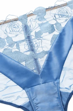 Rosabelle Brief In Ethereal Blue 11 Rosabelle Brief In Ethereal Blue -Fashion Lingerie Store dita von teese rosabelle brief ethereal blue 5 2f5ee649 4a41 4337 ac13 2bf5c64ffdb1