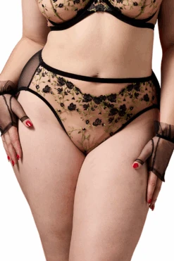 Rosewyn High Waist Brief