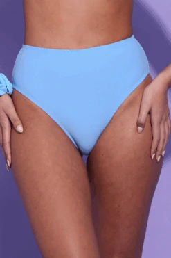 DORA LARSEN Phoebe High Rise Bikini Bottom Blue