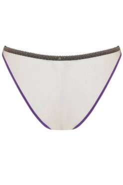 Barbie Brief In Amethyst 11 Barbie Brief In Amethyst -Fashion Lingerie Store edge o beyond barbie purple brief ghost back