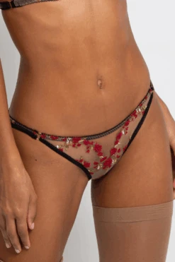 Charlotte En Rouge Brilliant Brief, Size UK 14 10 Charlotte En Rouge Brilliant Brief, Size UK 14 -Fashion Lingerie Store edge o beyond charlotte en rouge brilliant brief 2023 1