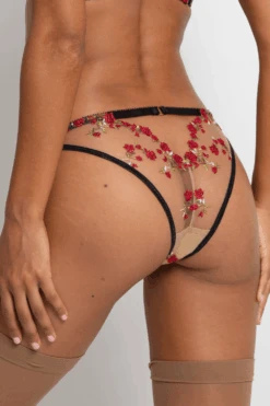 Fashion Lingerie Store 38 Charlotte En Rouge Brilliant Brief, Size UK 14