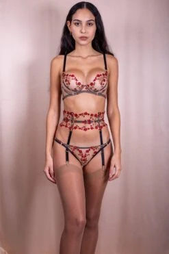 Charlotte En Rouge Brilliant Brief, Size UK 14 13 Charlotte En Rouge Brilliant Brief, Size UK 14 -Fashion Lingerie Store edge o beyond charlotte en rouge brilliant brief 6