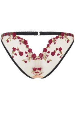 Charlotte En Rouge Brilliant Brief, Size UK 14 11 Charlotte En Rouge Brilliant Brief, Size UK 14 -Fashion Lingerie Store edge o beyond charlotte en rouge brilliant brief ghost back