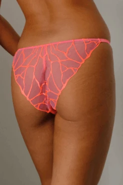 Cleo Brief 10 Cleo Brief -Fashion Lingerie Store fleur of england cleo brief bright coral 2