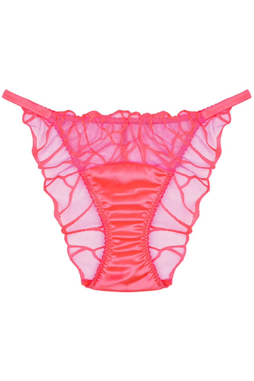 Cleo Brief 4 Cleo Brief - Image 2