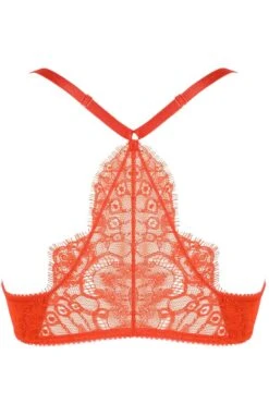French Connection Push Up Bra In Bright Red (B & C Cup Sizes) 10 French Connection Push Up Bra In Bright Red (B & C Cup Sizes) -Fashion Lingerie Store jolidon french connection push up bra s2227 red ghost back
