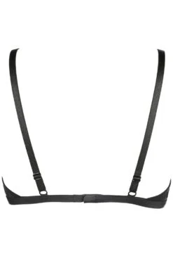 Savage Love Triangle Bra, Size 36B 10 Savage Love Triangle Bra, Size 36B -Fashion Lingerie Store jolidon savage love triangle bra s2232 ghost back