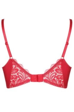 Hey Jude! Push Up Bra In Red, Size UK 32DD (UK 70E) -Fashion Lingerie Store joliform hey jude push up bra s2219 red ghost back