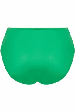 Dressing Floral High Waist Brief 11 Dressing Floral High Waist Brief -Fashion Lingerie Store lise charmel dressing floral high waist brief a dressing emeraude ghost back