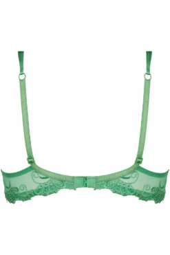 Dressing Floral Padded Contour Bra 11 Dressing Floral Padded Contour Bra -Fashion Lingerie Store lise charmel dressing floral padded contour bra dressing emeraude ghost back