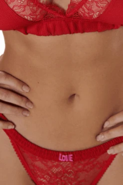 Love Stories Red Love Lace Triangle Bralette & Brief Set 19 Love Stories Red Love Lace Triangle Bralette & Brief Set -Fashion Lingerie Store love stories wild rose brief red 4