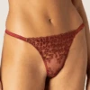 Muse - Lola Thong, Size L (UK 12-14) 2 Muse - Lola Thong, Size L (UK 12-14) -Fashion Lingerie Store muse by coco de mer lola thong leopard 1