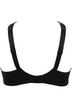 Delicate Nymph Full Cup Bra 12 Delicate Nymph Full Cup Bra -Fashion Lingerie Store prelude delicate nimph full cup bra black gold ghost back