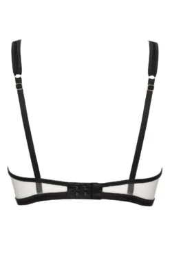 Greta Push Up Bra 10 Greta Push Up Bra -Fashion Lingerie Store prelude greta push up bra ys310 ghost back