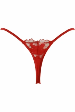 La Dolce Vita Mini Thong 11 La Dolce Vita Mini Thong -Fashion Lingerie Store prelude la dolce vita thong red ghost back