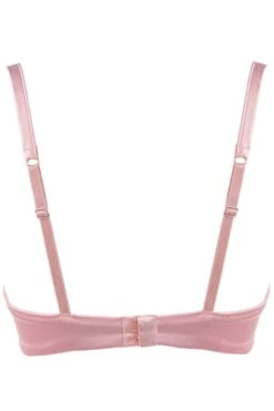 Marlene Underwired Bra With Swarovski Crystals In Pink 10 Marlene Underwired Bra With Swarovski Crystals In Pink -Fashion Lingerie Store prelude marlene underwired bra pink ys300 ghost back