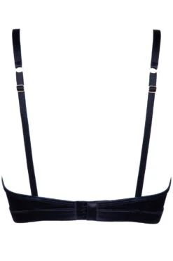 Rita Push Up Bra 10 Rita Push Up Bra -Fashion Lingerie Store prelude rita push up bra ys316 ghost back